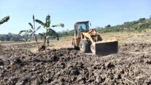 Pemerataan Lahan di Sambongrejo Permudah Pengelolaan Sawah, Petani Optimistis Panen Meningkat