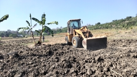 Foto: Alat berat melakukan pemerataan lahan pertanian di Desa Sambongrejo, Kecamatan Semanding, Kabupaten Tuban, Kamis (6/8/2026). Penataan lahan diharapkan mempermudah pengelolaan sawah dan meningkatkan produktivitas pertanian. (Foto: Iwan/beritakeadilan.com)