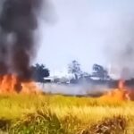 Kebakaran Lahan di Luar Area CPA Sukowati, GMBI Desak Investigasi Independen dan Evaluasi Tanggap Darurat Pertamina EP
