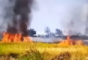 Kebakaran Lahan di Luar Area CPA Sukowati, GMBI Desak Investigasi Independen dan Evaluasi Tanggap Darurat Pertamina EP