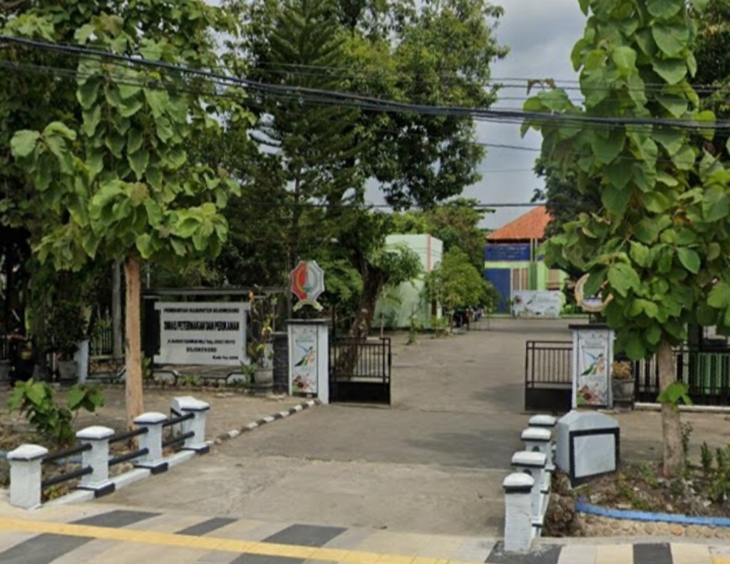 Dugaan Sapi Gelonggongan di Ledok Kulon Berbuntut, Dinas Panggil Pengusaha Jagal