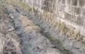 Petani Klagen Keluhkan Dugaan Limbah Cair SPPG Menggenangi Persawahan