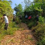 Gotong Royong, Warga Desa Tambang Sawah Rawat Aset Jalan Desa