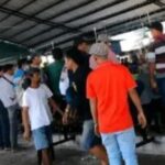 Arena Judi Sabung Ayam Diduga Beroperasi di Klurak, Pengawasan Aparat Dipertanyakan