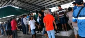 Arena Sabung Ayam Diduga Beroperasi di Klurak, Pengawasan Aparat Dipertanyakan