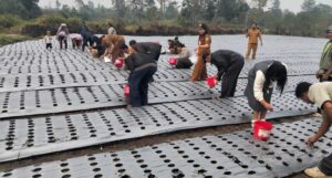 Humbahas Dorong Pengembangan Budidaya Bawang Putih Menuju Swasembada