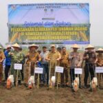 Dorong Pertanian Modern dan Berkelanjutan, Pemkab Taput Tanam Jagung Bersama di Kawasan Terpadu Sijaba