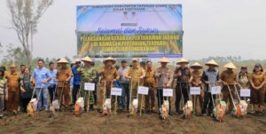 Dorong Pertanian Modern dan Berkelanjutan, Pemkab Taput Tanam Jagung Bersama di Kawasan Terpadu Sijaba