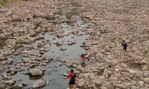 Dampak Kemarau Panjang, Debit Sungai Ketahun di Lebong Menyusut, Warga Mulai Cemas