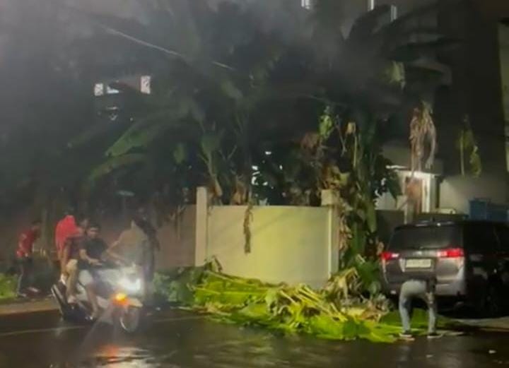 Pengrusakan Tanaman Taman Pluit Picu Kerugian Rp 120 Juta