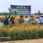 Kodim 0505/JT Kolaborasi Dengan Pemprov DKI, Panen Padi Inpari 32 di Ujung Menteng
