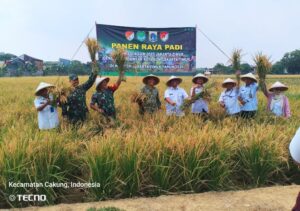 Kodim 0505/JT Kolaborasi Dengan Pemprov DKI, Panen Padi Inpari 32 di Ujung Menteng