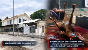 Aktivitas RPH Banjarsari Menurun, Pengawasan Mutu Daging di Bojonegoro Disorot