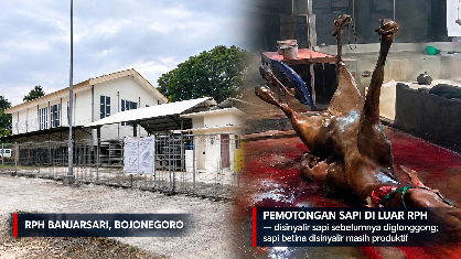 Aktivitas RPH Banjarsari Menurun, Pengawasan Mutu Daging di Bojonegoro Disorot