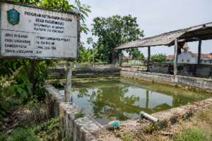 Setahun Lebih Diduga Tak Dikelola, Kolam Ketahanan Pangan Pagerwojo Sidoarjo Jadi Sorotan