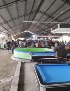 Perjudian Desa Kalicabean Sidoarjo Meresahkan Warga, Aparat Didesak Pukul Rata